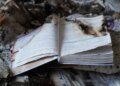 рф боїться українських книжок і має на це підстави – Сибіга закликав партнерів надати Україні більше ППО