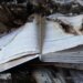рф боїться українських книжок і має на це підстави – Сибіга закликав партнерів надати Україні більше ППО