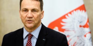 Сикорский предложил создать “Европейский легион” с привлечением украинских ветеранов