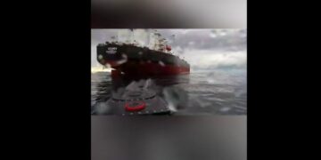 Зеленский рассказал о новых мидлстрайках: российский контейнеровоз Yanina пошел на дно
