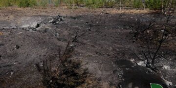 В Україні за тиждень через ворожі атаки вигоріли 84 гектари лісу