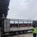 На Сумщині дрони та міномети поранили дитину й трьох дорослих