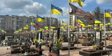 В Житомире мужчину приговорили к 6,5 годам лишения свободы за осквернение могилы защитника