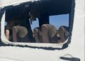 Дрон рф влучив у рейсовий автобус на Нікопольщині: п’ятеро загиблих, семеро поранених
