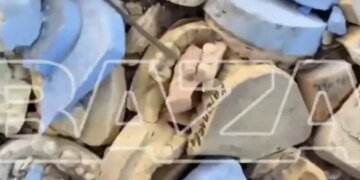 В России дорогу “запломбировали” гипсовыми челюстями вместо асфальта. ВИДЕО