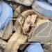 В России дорогу “запломбировали” гипсовыми челюстями вместо асфальта. ВИДЕО
