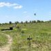 В Україні створили загородження "Чагарник", яке за секунду перерізає оптоволокно FPV-дронів