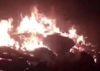 После атаки под Одессой горит приют для собак