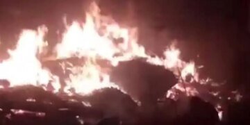 После атаки под Одессой горит приют для собак