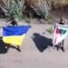 Очередной результат операции «Вивальди»: бойцы ВСУ подняли украинские флаги в пяти селах Донецкой области
