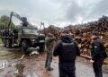 «Чёрные» лесорубы на Житомирщине: ущерб от незаконной вырубки составил десятки миллионов гривен