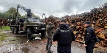 «Чёрные» лесорубы на Житомирщине: ущерб от незаконной вырубки составил десятки миллионов гривен