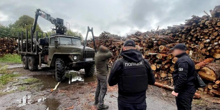«Чёрные» лесорубы на Житомирщине: ущерб от незаконной вырубки составил десятки миллионов гривен