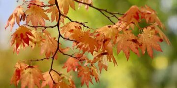 Вересень 2026 в Україні: підсумки місяця та чого чекати в жовтні