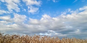 Холодный фронт накроет Украину 21 сентября: где еще удержится тепло до +27