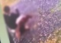 Ревность и сломанный нос: в Мукачево в суд направили дело 19-летней девушки, избившей соперницу. ВИДЕО
