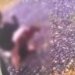 Ревность и сломанный нос: в Мукачево в суд направили дело 19-летней девушки, избившей соперницу. ВИДЕО