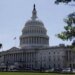 "Або Трамп бреше, або Маск": у Конгресі США вимагають з'ясувати, хто обмежив Starlink для України