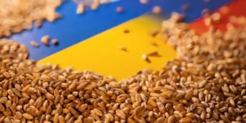Politico: Польша и Румыния отказали Украине в помощи с вывозом зерна